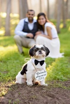 DOG,PETS,COUPLE, GARDEN