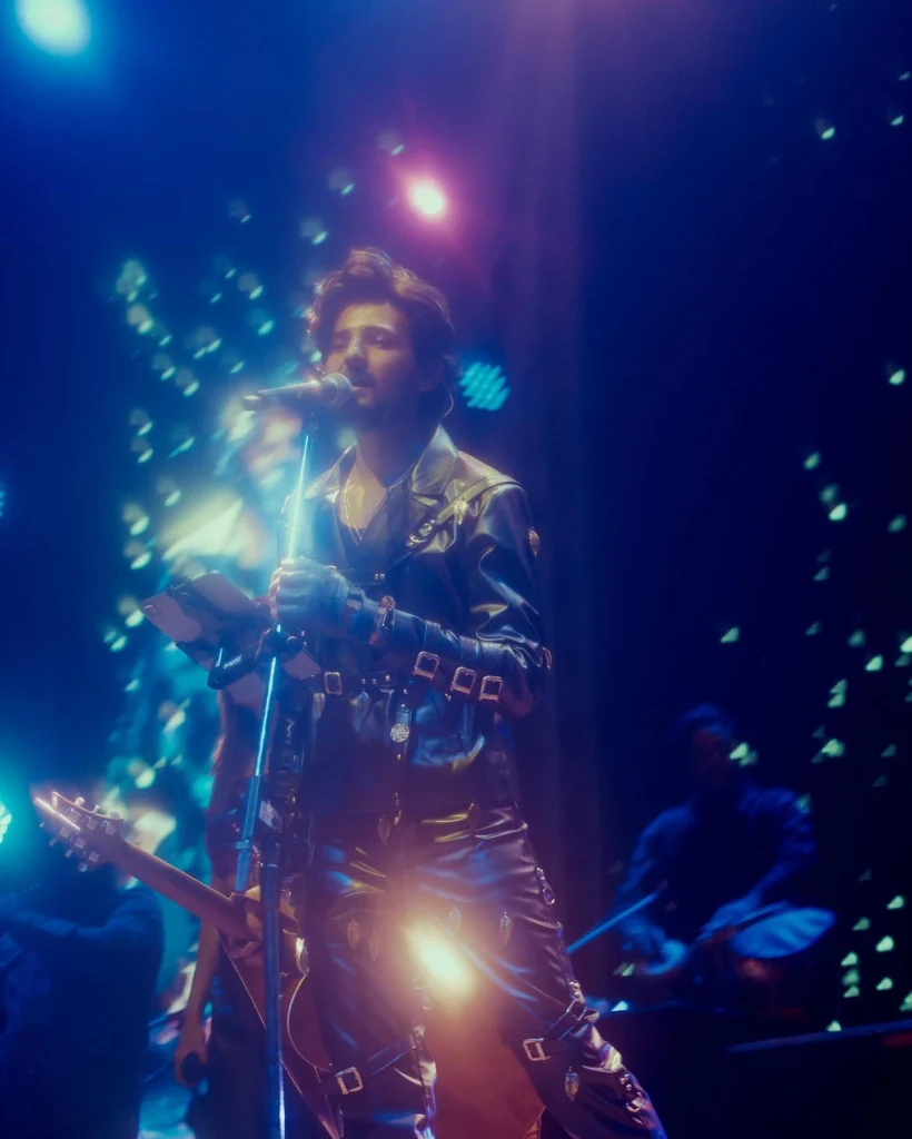 SINGER STAGE MIC LIGHTS